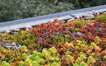 the cost of Bishampton green roof installation