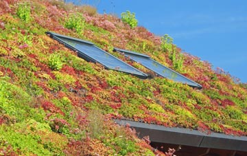 Bishampton living roof systems